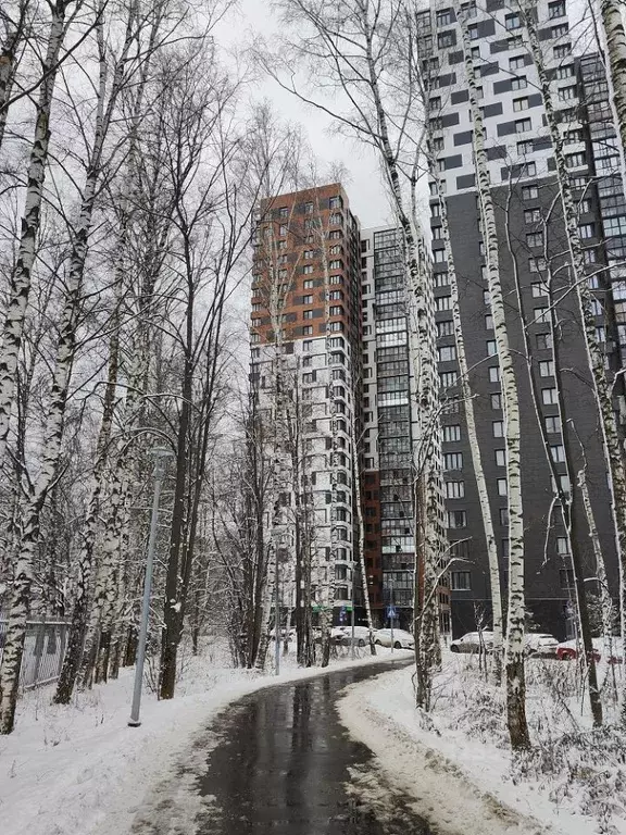 Студия Московская область, Одинцово ул. Маршала Бирюзова, 7к1 (31.4 м) - Фото 2