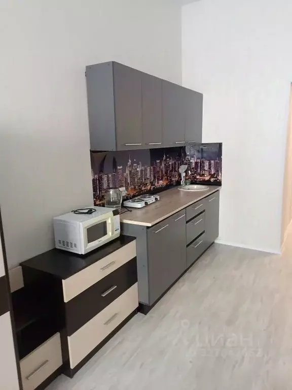 1-к кв. Московская область, Солнечногорск городской округ, Голубое пгт ... - Фото 1