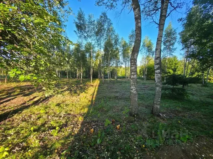 Участок в Московская область, Пушкино Клязьма мкр, Боткинская ул., 34 ... - Фото 2