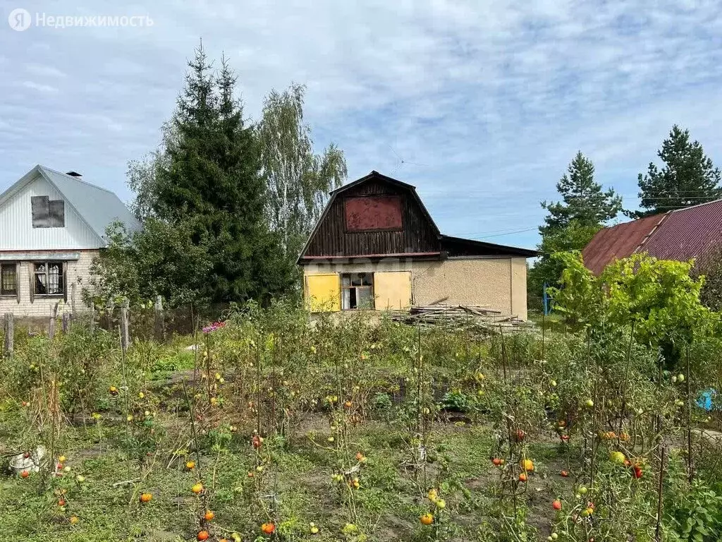 Дом в село Староживотинное, Песчаная улица (54 м), Купить дом  Староживотинное, Рамонский район, ID объекта - 50013283198