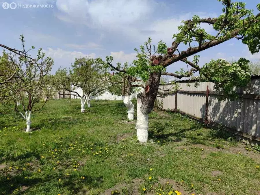 Участок в село Бабяково, Садовая улица, 8 (5.5 м) - Фото 1