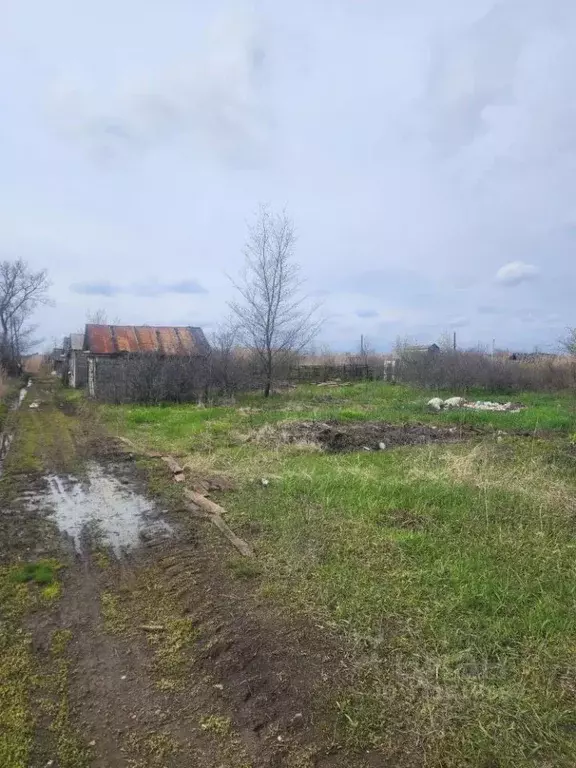 Участок в Саратовская область, Энгельс СНТ Химик-2 мкр,  (4.16 сот.) - Фото 2