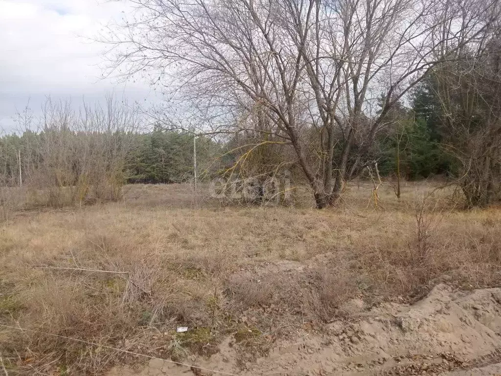 Участок в Белгородская область, Волоконовский район, Пятницкое рп ул. ... - Фото 1