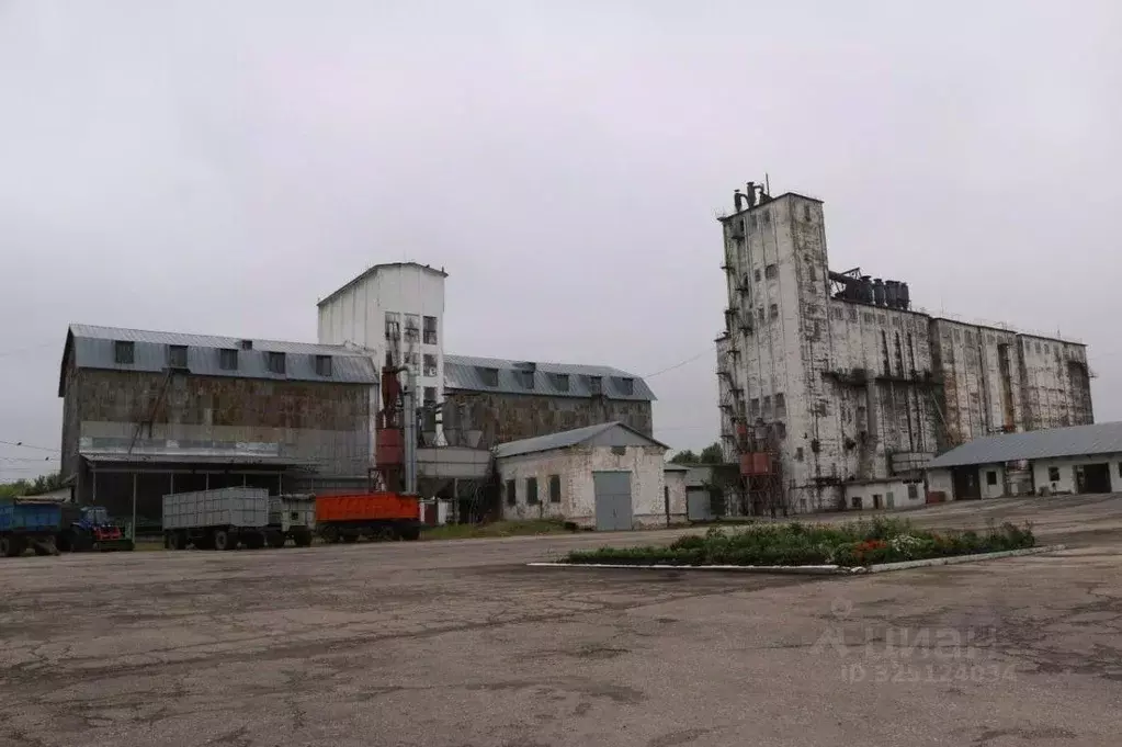 Производственное помещение в Саратовская область, Екатериновка рп ул. ... - Фото 1