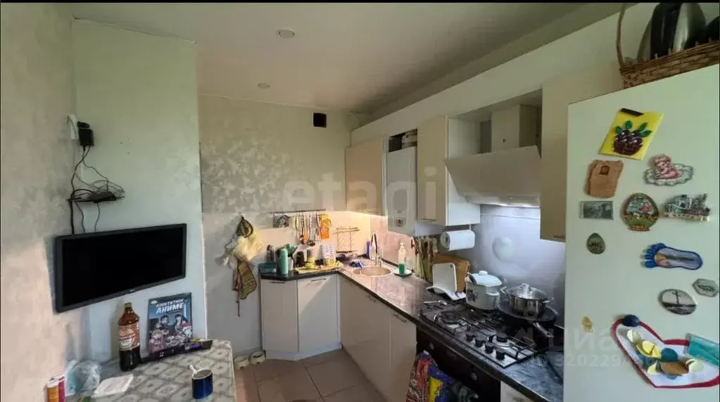 3-к кв. Калужская область, Совхоз Боровский с/пос, д. Кабицыно, ... - Фото 1