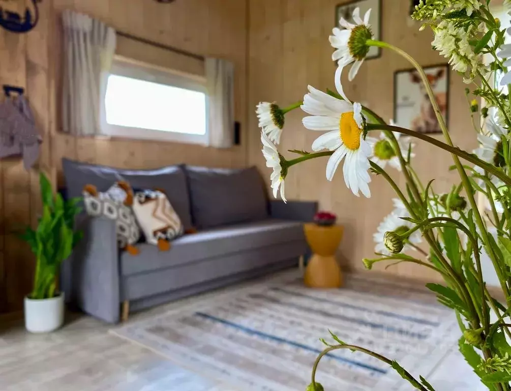 Дом в Ленинградская область, Ломоносовский район, Лопухинское с/пос, ... - Фото 2