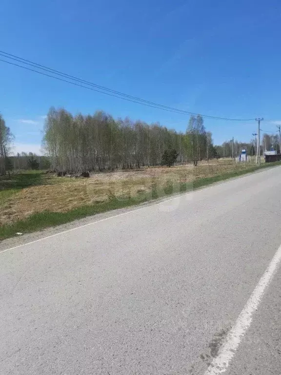 Участок в Тюменская область, Нижнетавдинский муниципальный округ, ... - Фото 1