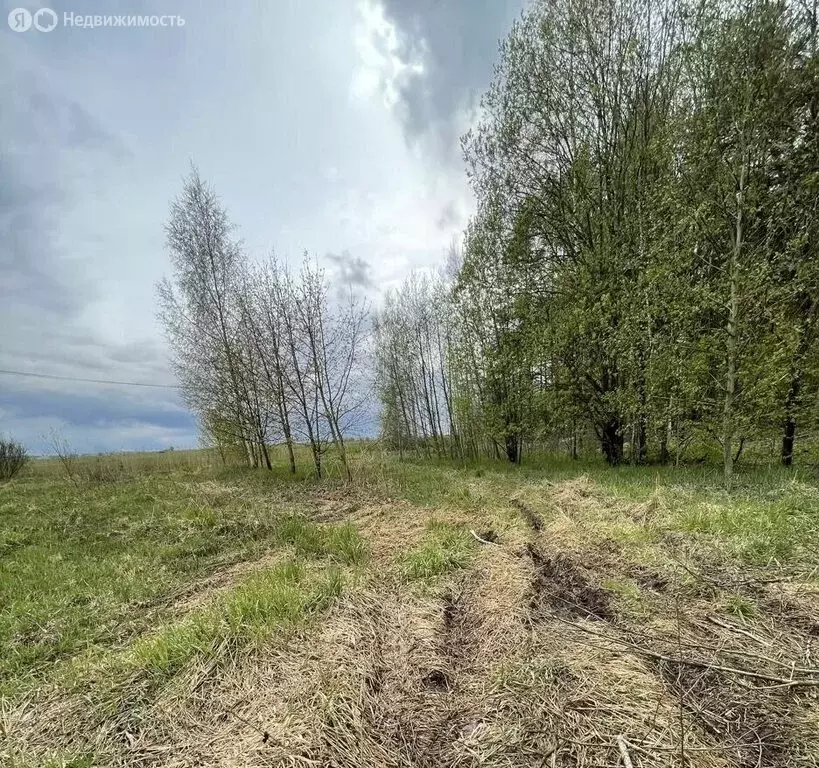 Участок в Аннинское городское поселение, деревня Рюмки (10 м) - Фото 1
