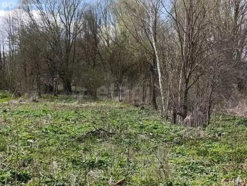 Участок в Козельск, улица Веденеева (13.88 м) - Фото 1