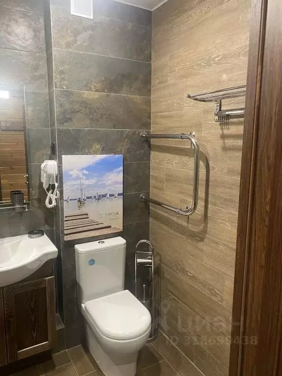 1-к кв. Челябинская область, Миасский городской округ, с. Сыростан ул. ... - Фото 2