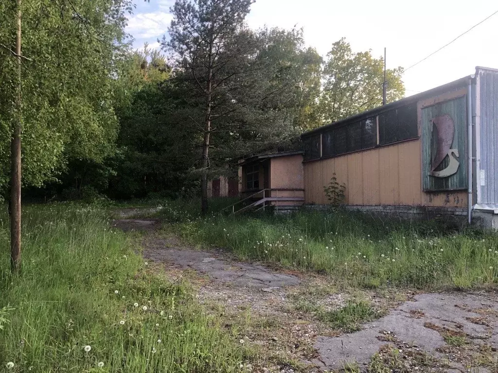 Помещение свободного назначения в Калининградская область, Светлогорск ... - Фото 1