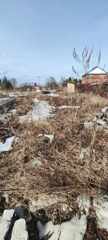 Участок в Томская область, Томск пос. Росинка,  (4.3 сот.) - Фото 1