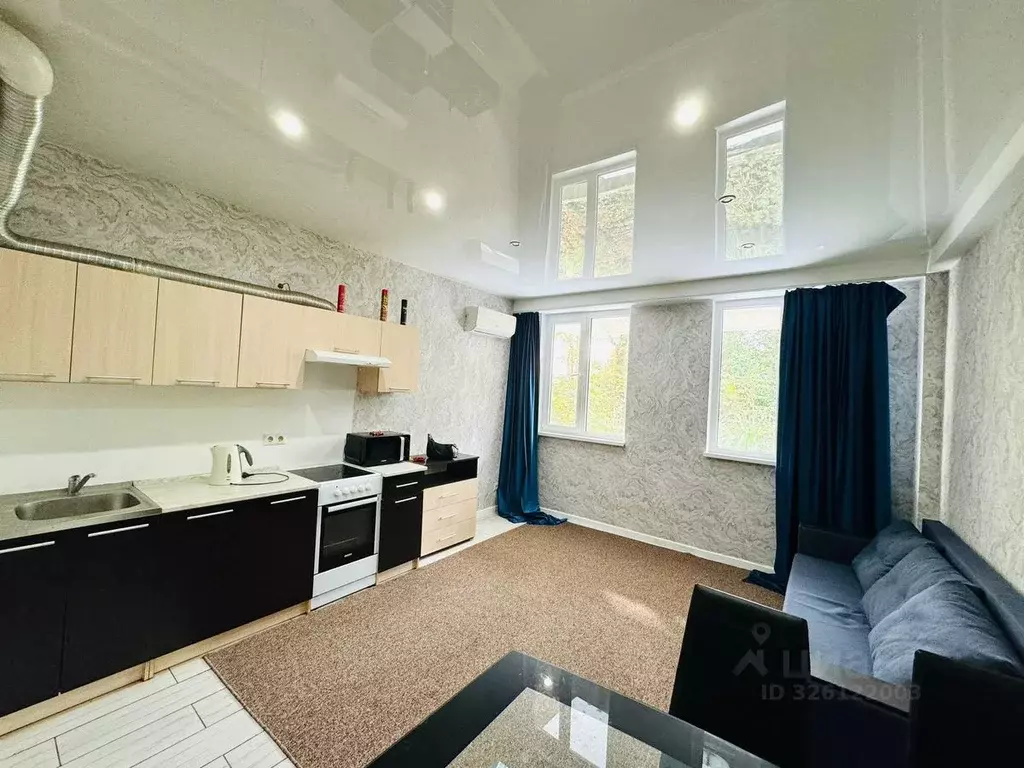 Студия Краснодарский край, Сочи Теневой пер., 3В (27.0 м) - Фото 2