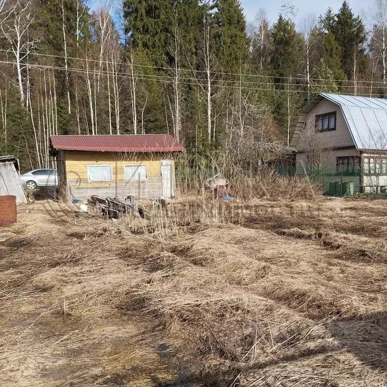 Участок в Ленинградская область, Выборг  (6.2 сот.) - Фото 0