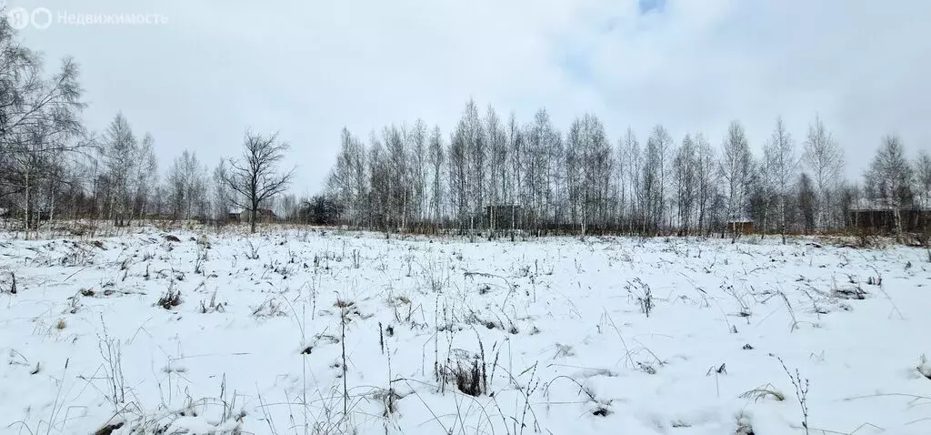 Участок в Нижегородская область, Кстовский муниципальный округ, ... - Фото 1