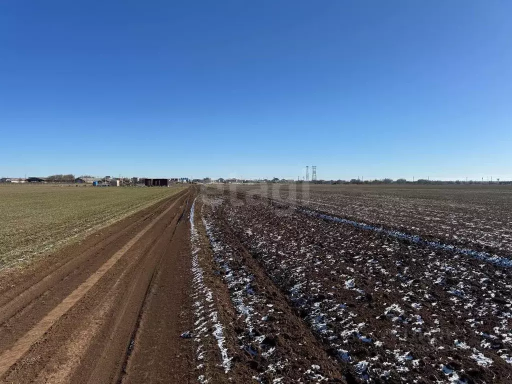 Участок в Крым, Сакский район, с. Молочное  (194.94 сот.) - Фото 1