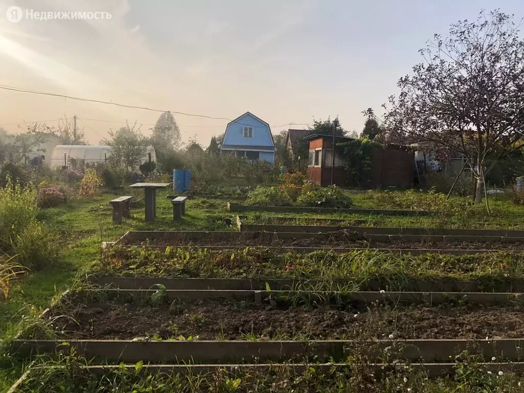 Дом в город Струнино, садовые участки Родник, 46 (20 м), Купить дом в  Струнино, ID объекта - 50011352708