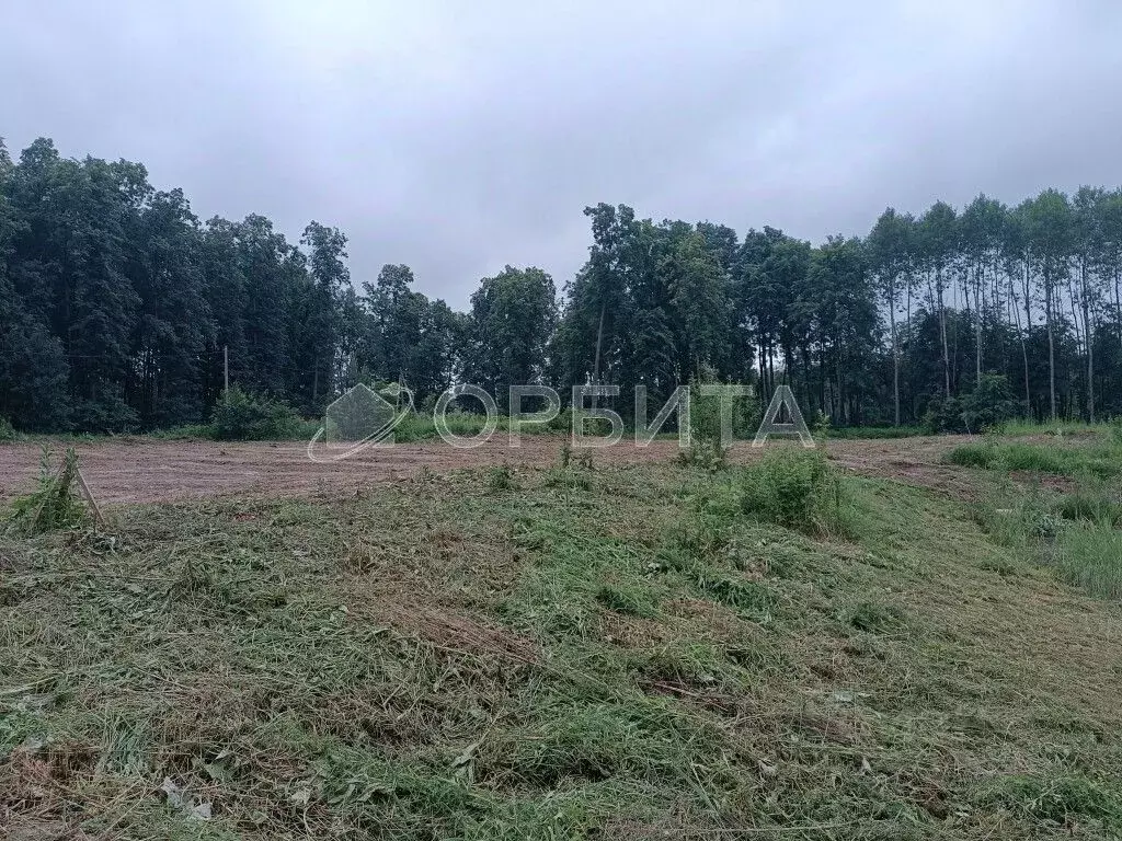 Участок в Тюменская область, Нижнетавдинский район, д. Штакульская  ... - Фото 2