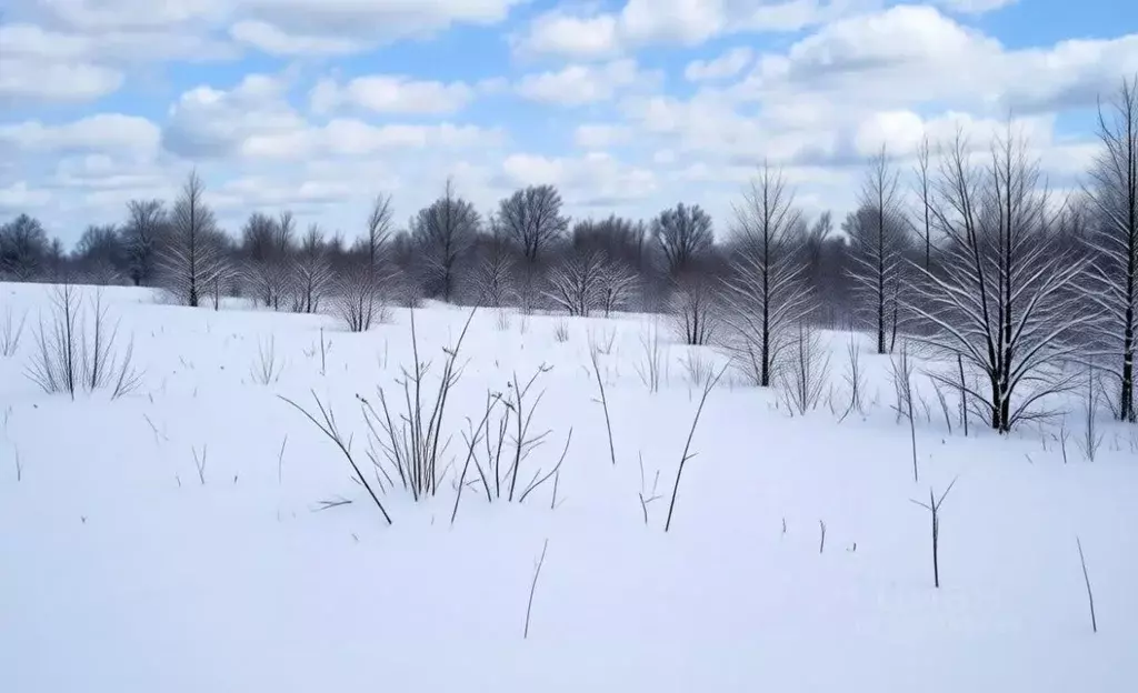 Участок в Тульская область, Тула городской округ, с. Частое ул. Ясная ... - Фото 1