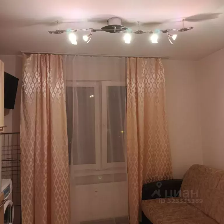 Студия Свердловская область, Екатеринбург ул. Латвийская, 58 (22.0 м) - Фото 2