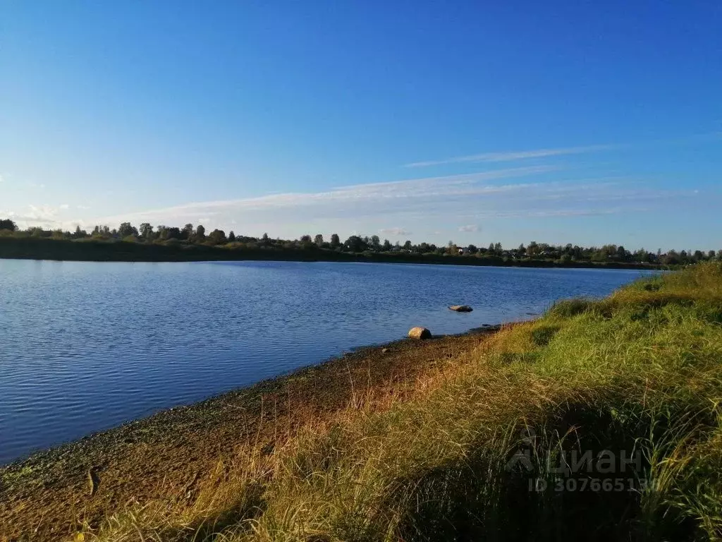 Участок в Новгородская область, Солецкий муниципальный округ, д. ... - Фото 0