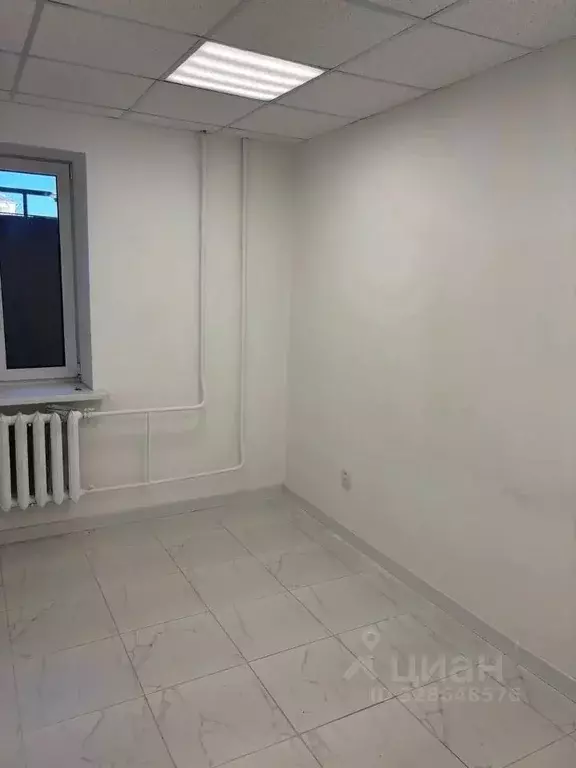 Помещение свободного назначения в Кировская область, Киров Гороховская ... - Фото 2