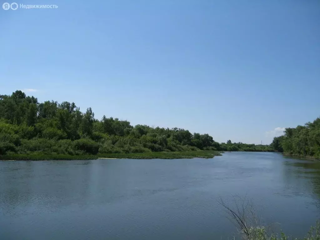 Участок в Самарская область, городской округ Кинель, посёлок ... - Фото 2