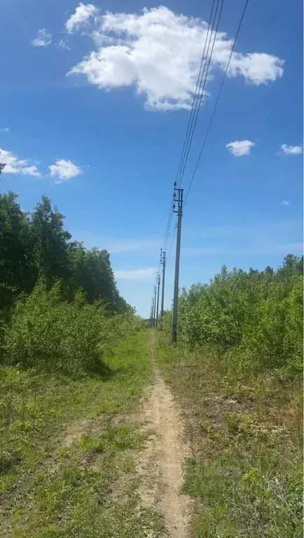 Участок в Иркутская область, Иркутский муниципальный округ, пос. ... - Фото 1