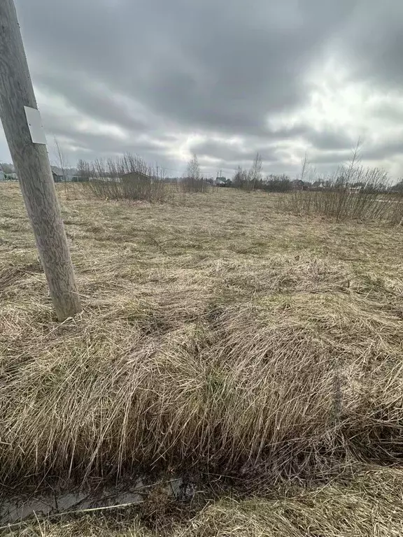 Участок в Новгородская область, Новгородский район, Трубичинское ... - Фото 1