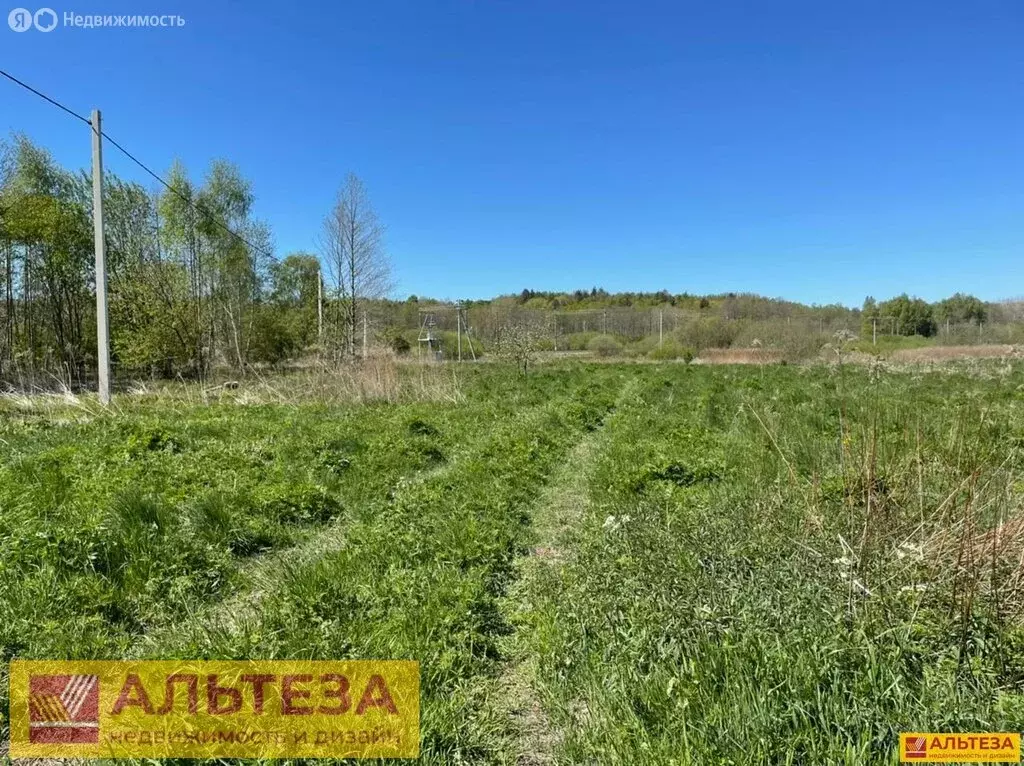 Участок в Калининградская область, Зеленоградский муниципальный округ, ... - Фото 0