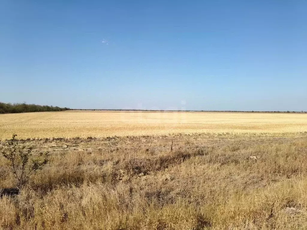 Участок в Крым, Советский район, Ильичевское с/пос, с. Восточное ул. ... - Фото 1
