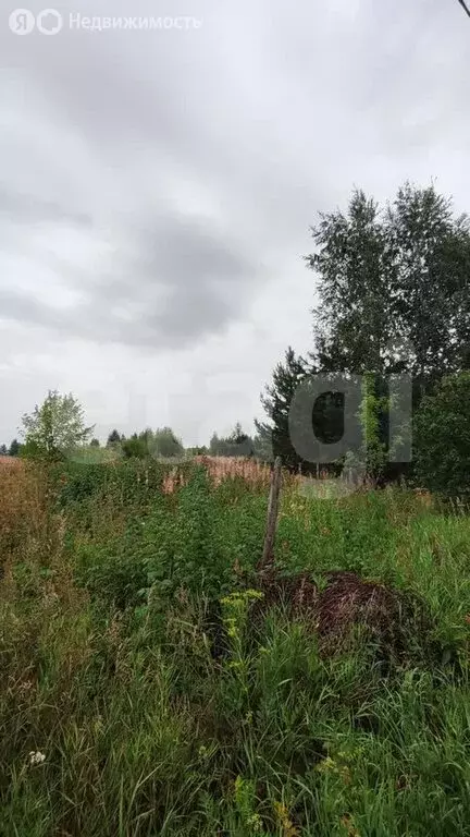 Участок в Заводоуковск, СОТ Колос, 201 (15 м) - Фото 2