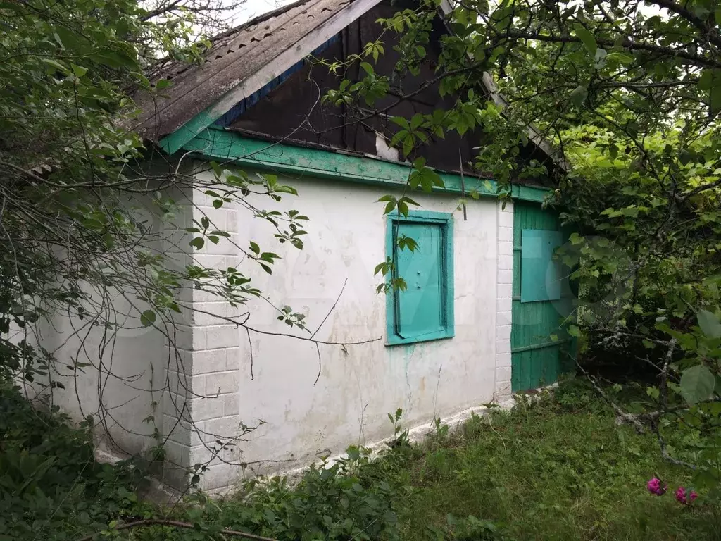 Купить Дачу В Стрелице Семилукского Района