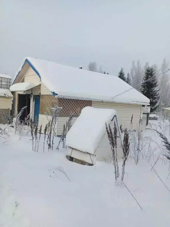 Дом в Ленинградская область, Гатчинский муниципальный округ, Новинка ... - Фото 2