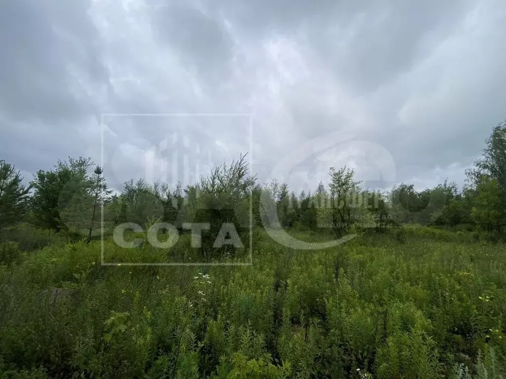 Участок 20 сот. (СНТ, ДНП) - Фото 0