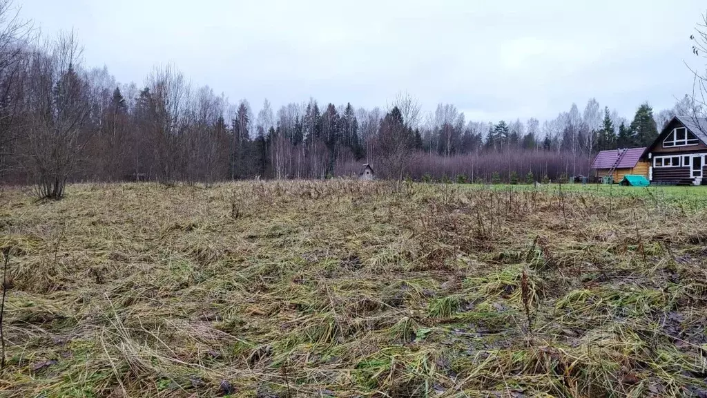 Участок в Новгородская область, Новгородский район, Савинское с/пос, ... - Фото 0