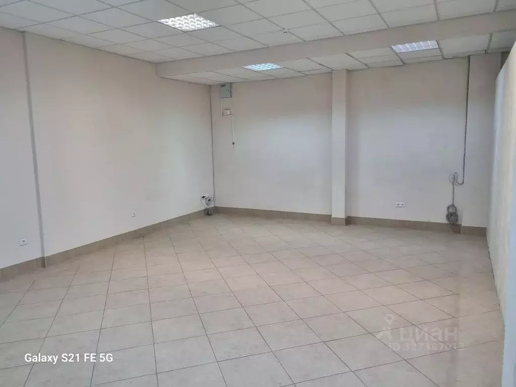 Помещение свободного назначения в Новосибирская область, Новосибирск ... - Фото 1