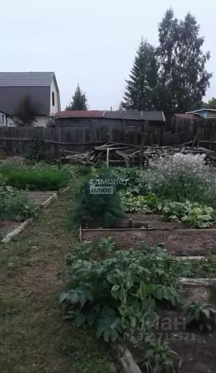 Дом в Ханты-Мансийский АО, Сургут Газовик СНТ, ул. Боровая (32 м) - Фото 2