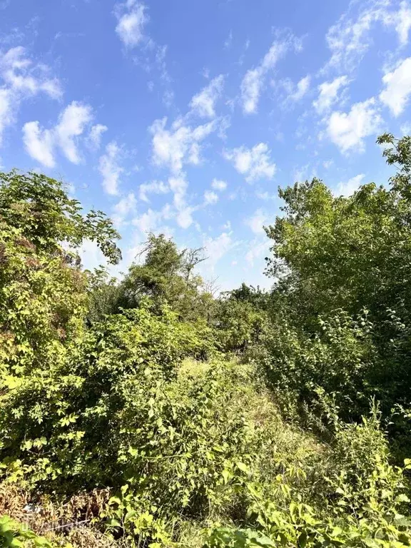 Участок в Ставропольский край, Ставрополь Автотруд садовое ... - Фото 2