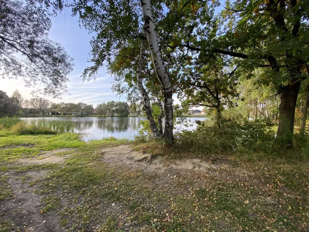 Участок в Московская область, Домодедово КП Рэд тер., 246 (11.37 сот.) - Фото 1