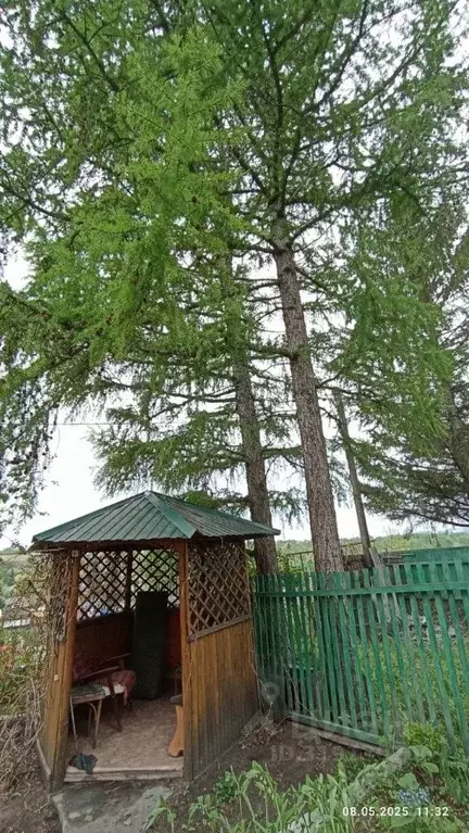 Дом в Омская область, Омск Ивушка СНТ, аллея 2-я, 60Б (46 м) - Фото 1