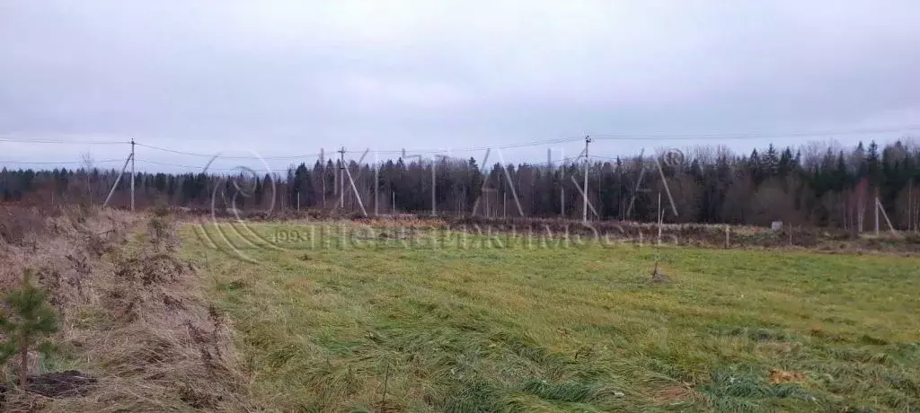 Участок в Ленинградская область, Тосненский район, Федоровское ... - Фото 0