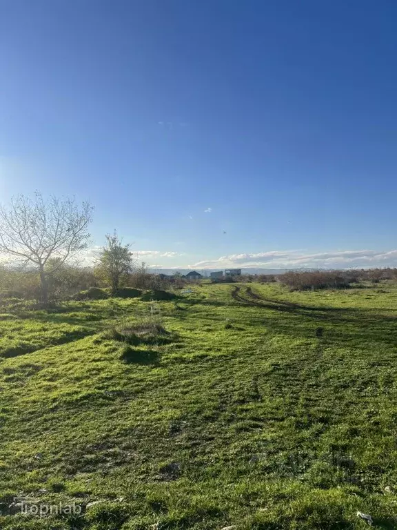 Участок в Кабардино-Балкария, Чегемский район, с. Шалушка ул. Имени ... - Фото 1