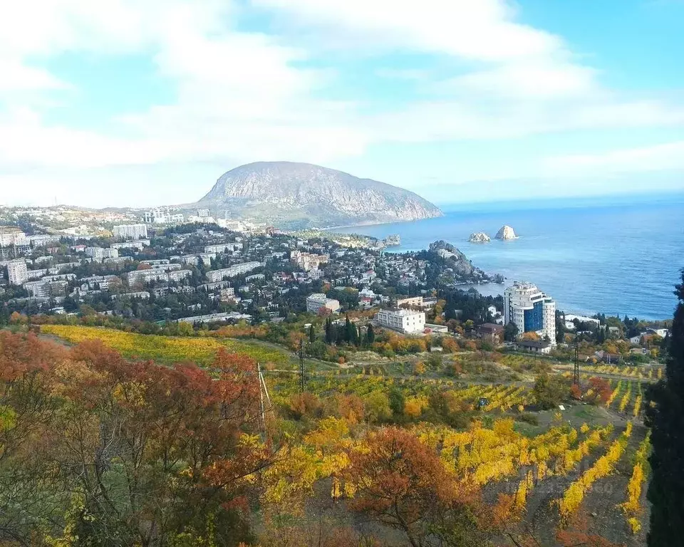 Участок в Крым, Ялта муниципальный округ, Гурзуф пгт ш. Гурзуфское ... - Фото 1