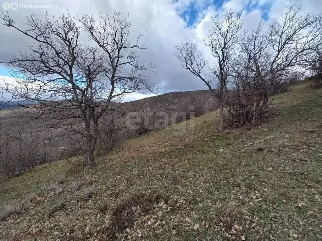 Участок в Малореченское, улица Гайдукова (7.08 м) - Фото 2