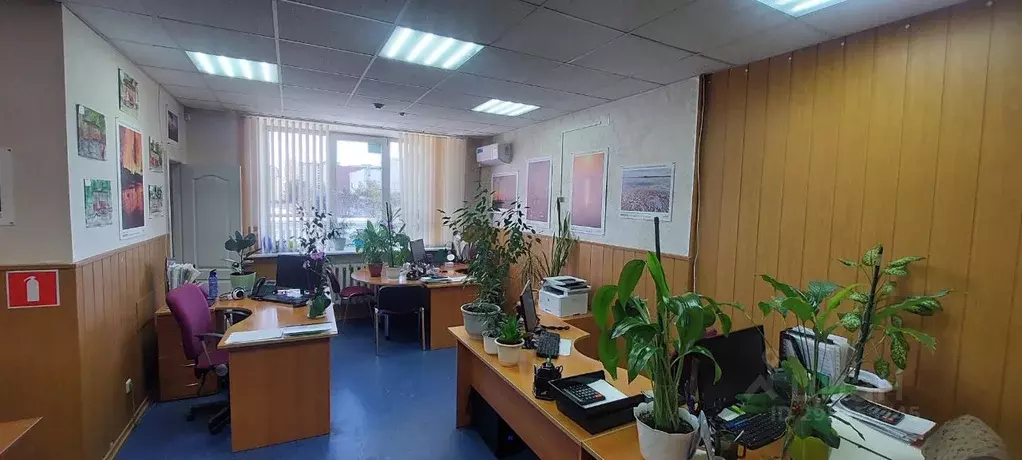 Офис в Саратовская область, Саратов ул. Имени Н.Г. Чернышевского, 88 ... - Фото 1