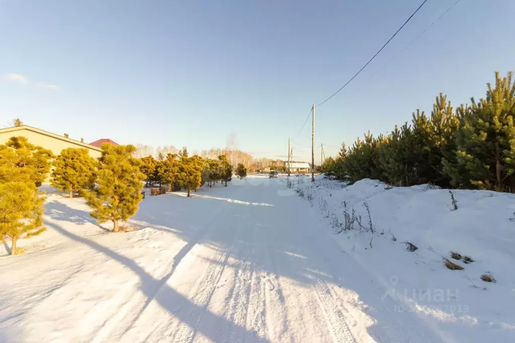 Участок в Красноярский край, Красноярск городской округ, пос. Минино, ... - Фото 1
