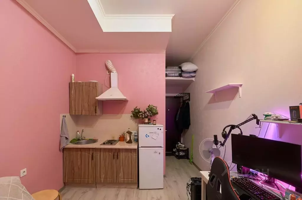 Студия Санкт-Петербург 12-я Красноармейская ул., 3 (19.01 м) - Фото 1