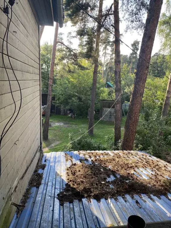 Комната Московская область, Люберцы городской округ, Малаховка пгт ш. ... - Фото 1