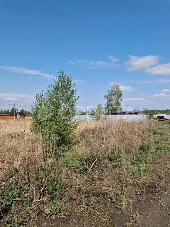 Участок в Тюменская область, Тюмень Садовое товарищество Липовый ... - Фото 0